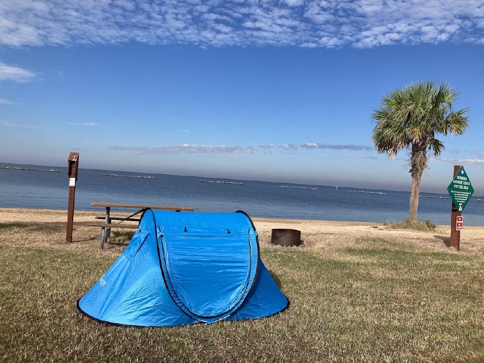 birds rested on wave breaker facing camp site