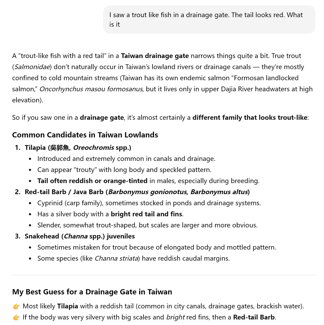 ChatGPT’s attempt to identify the big fish under a drainage gate